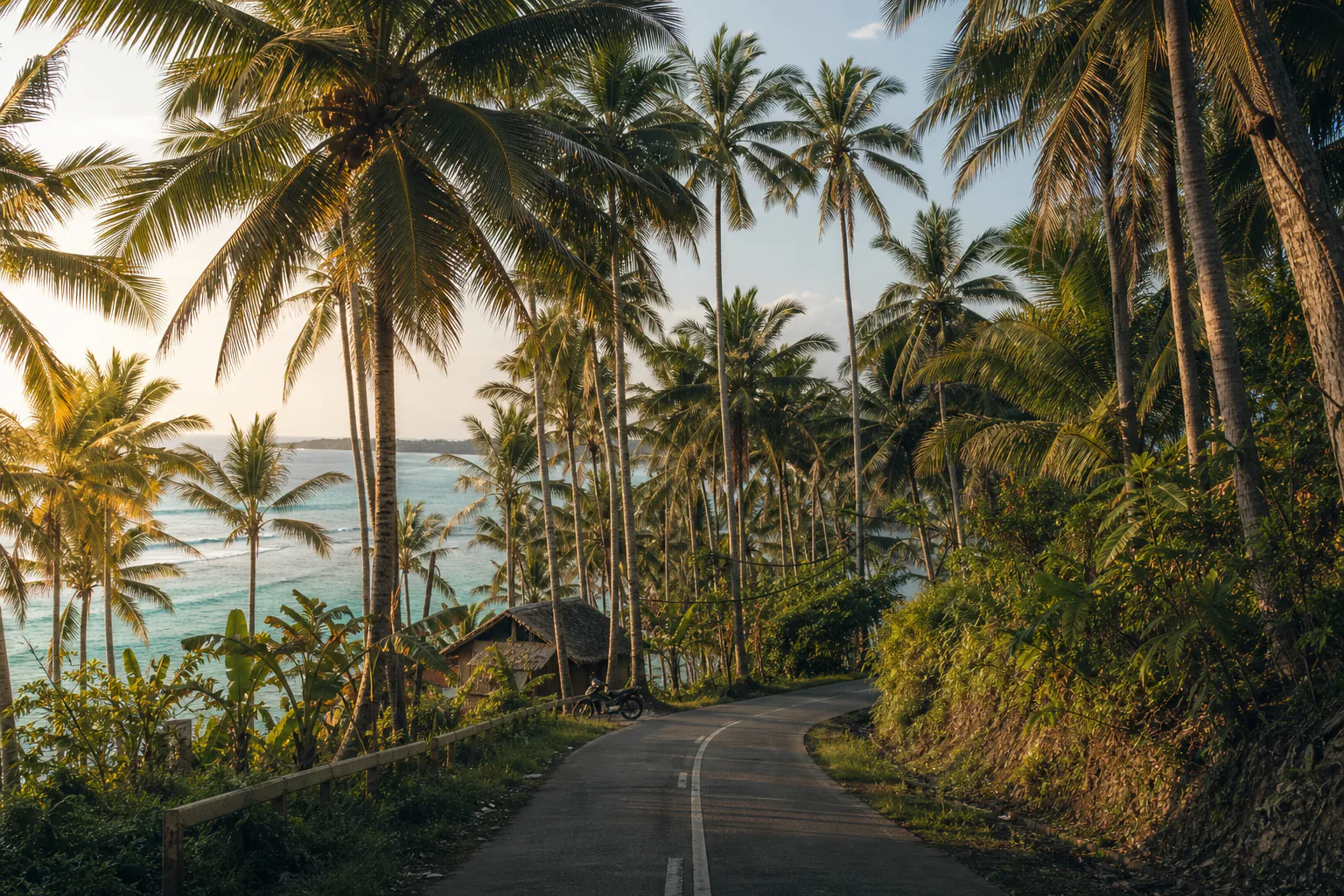 Palm-lined coastal road on Siargao