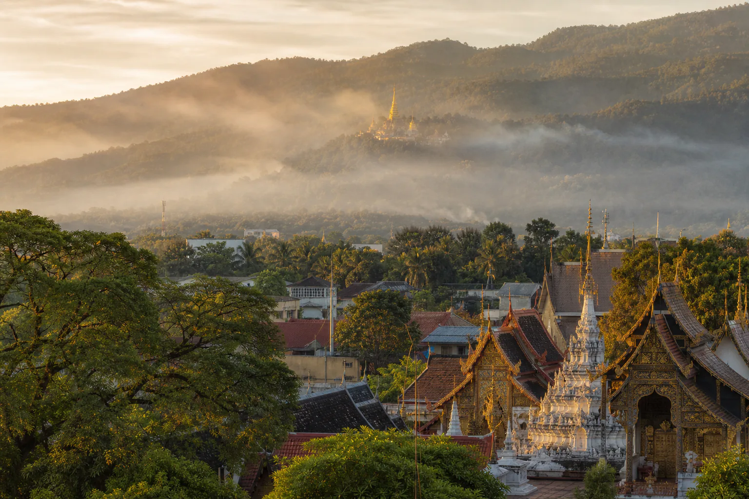 Temple rooftops against forested hills in Chiang Mai
