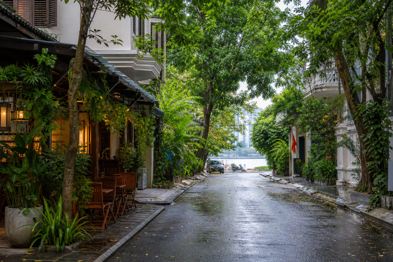 Leafy street in Thao Dien